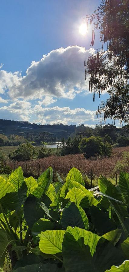 加里波第Loft No Campo Proximo Ao Vale Dos Vinhedos别墅 外观 照片